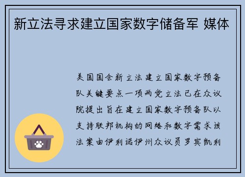 新立法寻求建立国家数字储备军 媒体